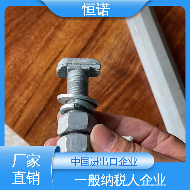 恒诺 生产厂家 8.8级T型螺栓 大量现货 订做异型件