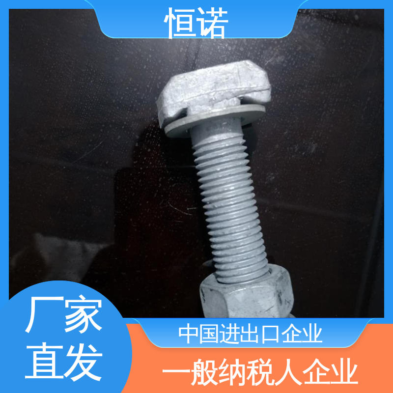 抗拉耐腐蚀 厂家供应 幕墙T型螺栓 图纸定做 恒诺