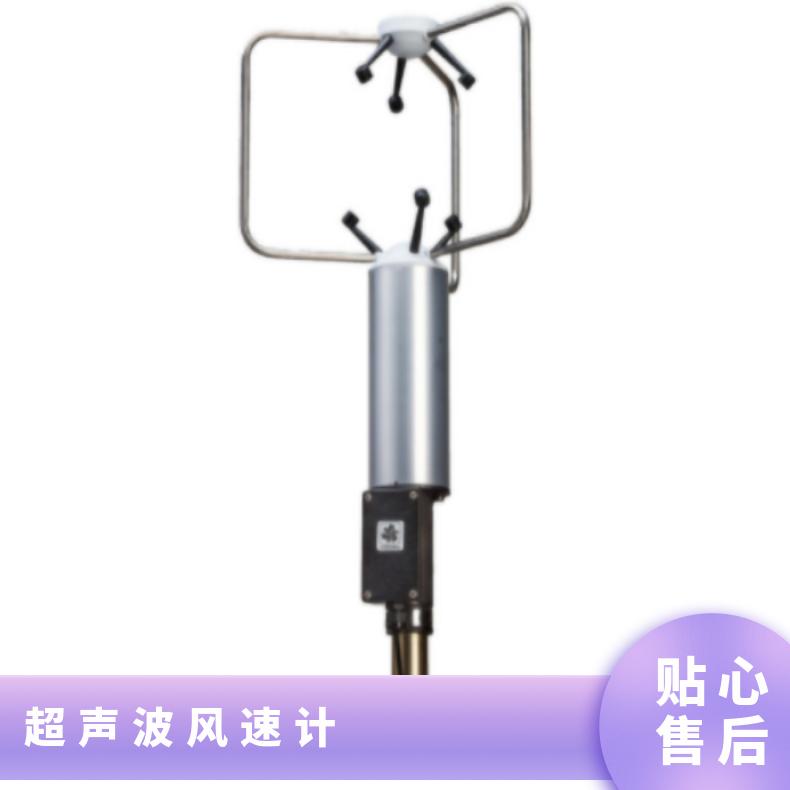 美国young 3D超声波风速计传感器快速响应、高分辨率和三维风测量