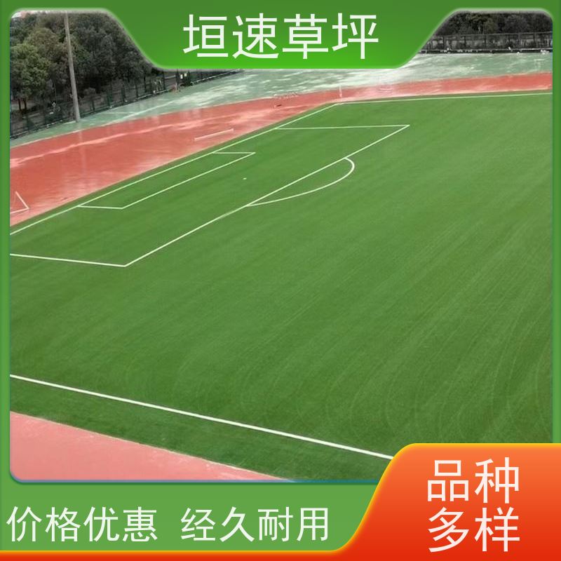 垣速草坪 十一人制足球场 翻新 仿真草皮 11一平米