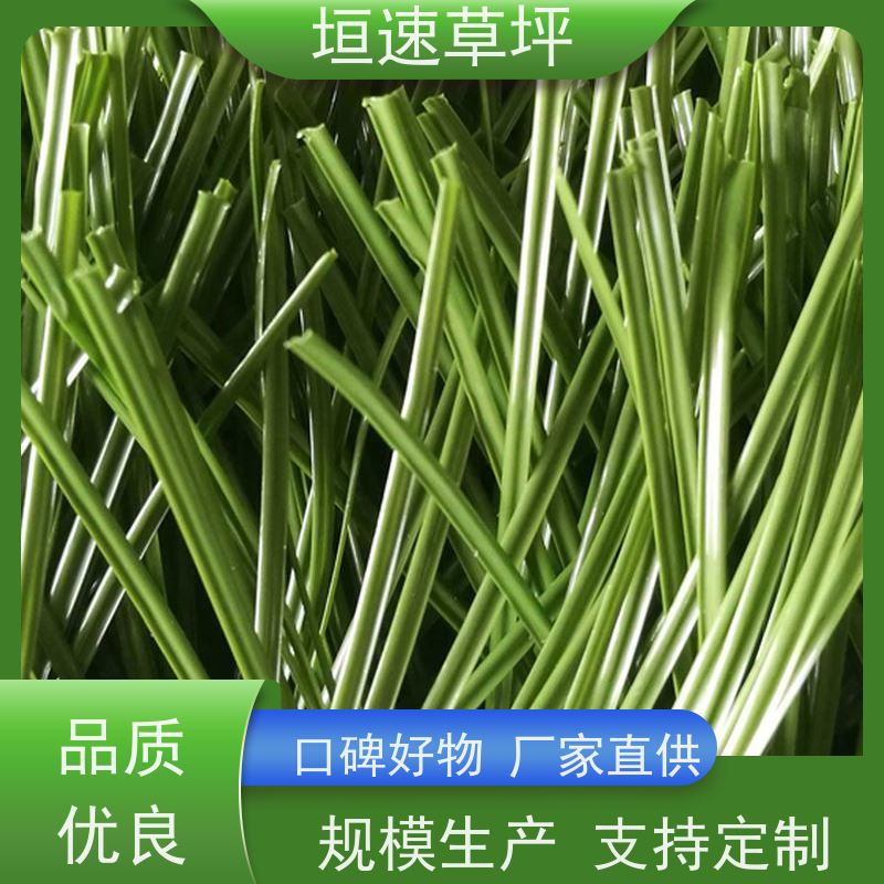 垣速草坪 足球场 修建 运动场人工草皮 供应出售