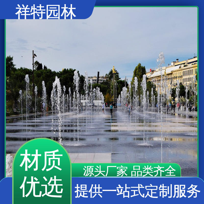 程控喷泉 七彩灯光排列 运行平稳 喷射高度可控 祥特园林