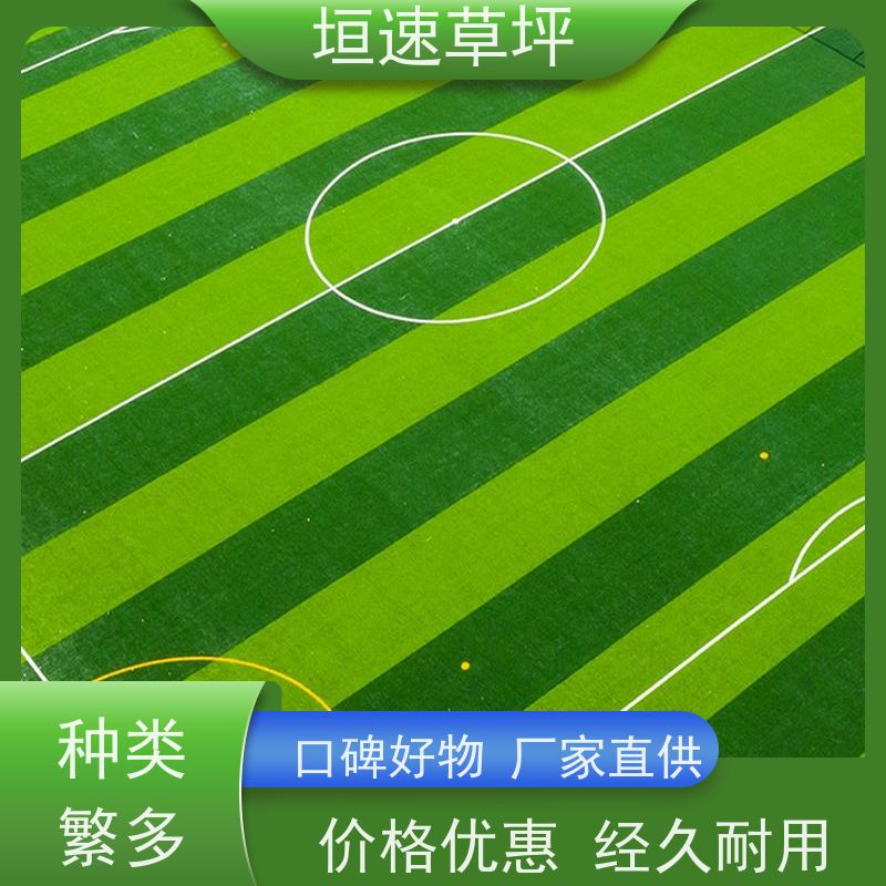 垣速草坪 老年门球场 改建 屋顶人造草皮 包工包料