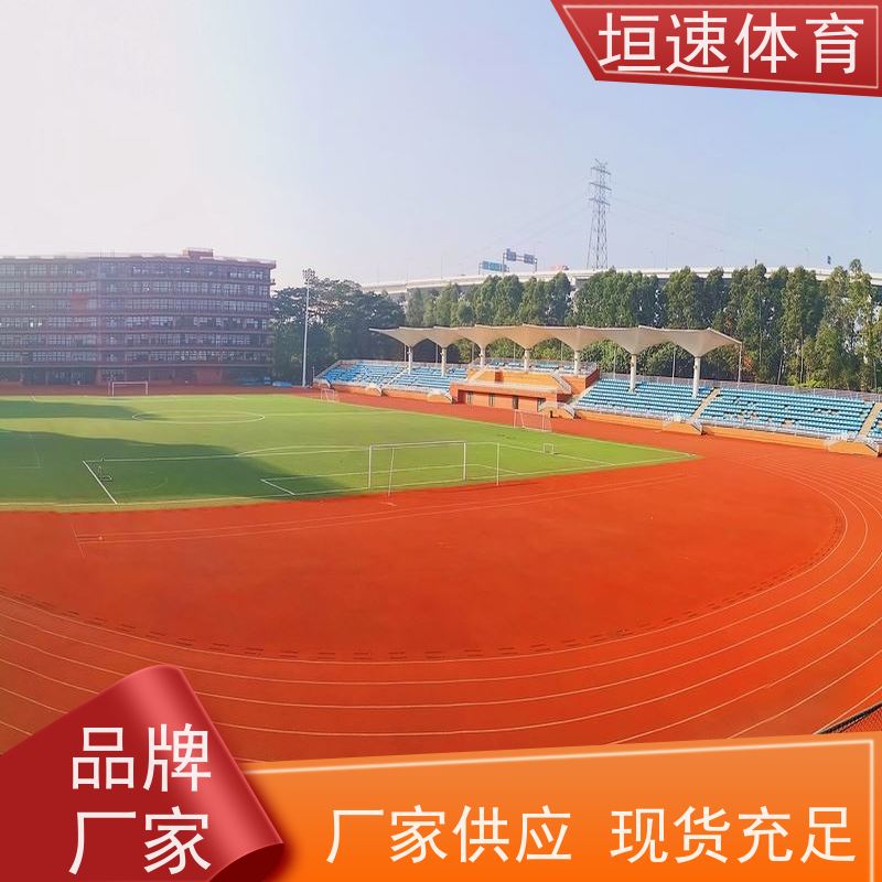 垣速 塑胶硅pu球场 体育馆操场跑道建造 地塑地板 49每平方