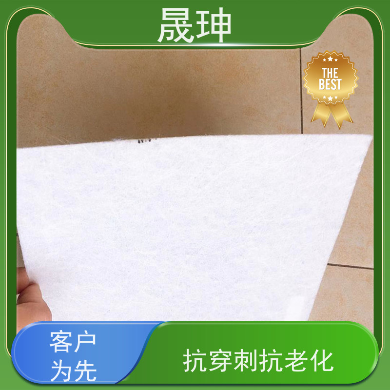 晟珅 道路防裂用聚酯玻纤布 承载力强 供货及时