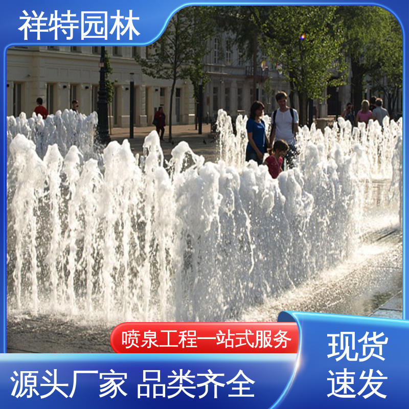 不易磨损 款式多样 七彩灯光排列 程控喷泉 祥特园林