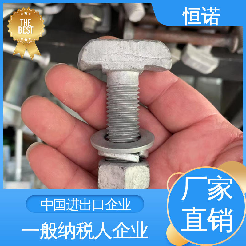 恒诺 哈芬槽道不锈钢T型螺栓 图纸定做 牢固耐用 实体厂家