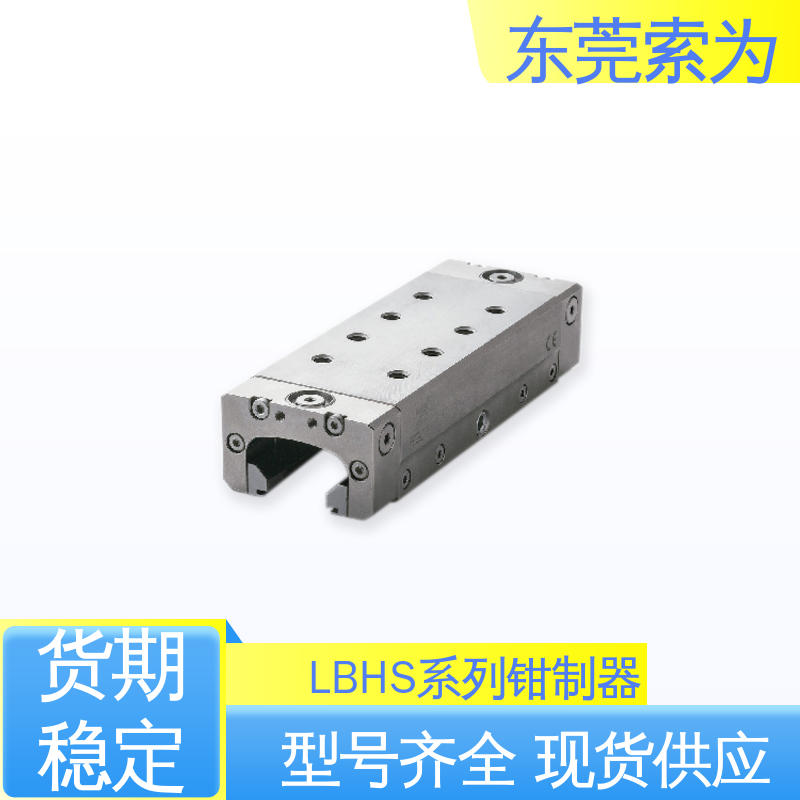 正规代理商供应 进口钳制器 锁紧器 固定器 LBHS-4502-DS2-A 超重载用