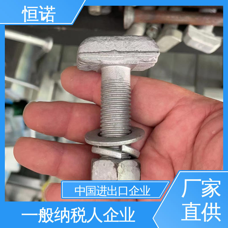 恒诺 牢固耐用 实体厂家 高强度预埋槽T型螺栓 来图定做