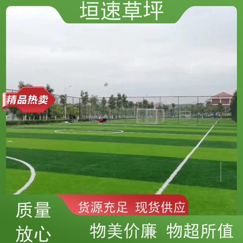 垣速草坪 老年门球场 搭建 运动场人工草皮 41每平米