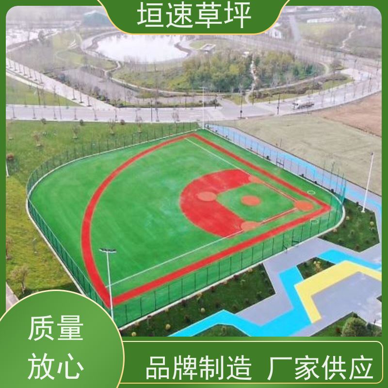垣速草坪 五人制足球场 改造 运动场人工草皮 渗水性好