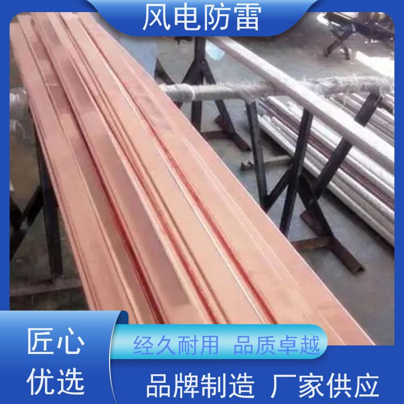 风电防雷 减少地网占用土地面积 铜包钢接地圆线14mm 特殊非 金 属材料