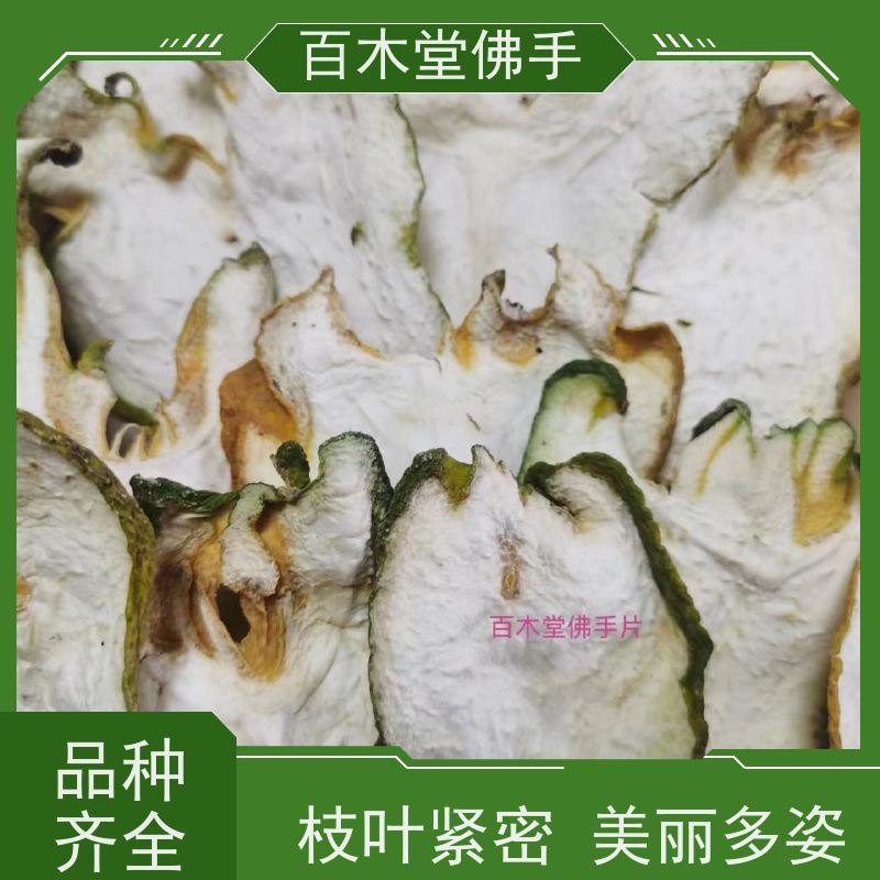 百木堂 忠 县佛手 树形丰富 成活率高 中药材种植基地 