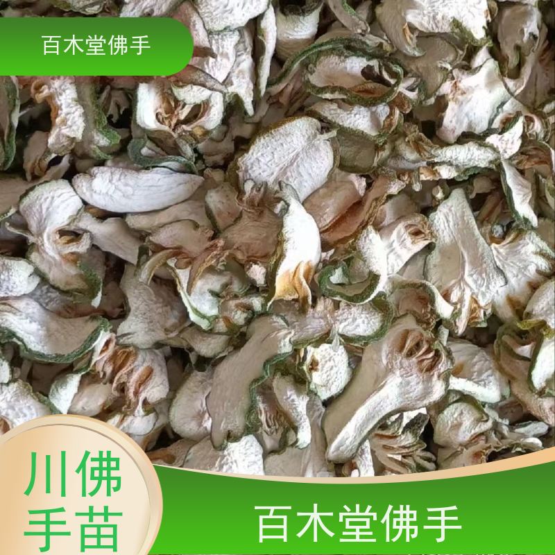 百木堂 宜 宾佛手 观赏植物 附加值高 园林景区栽植