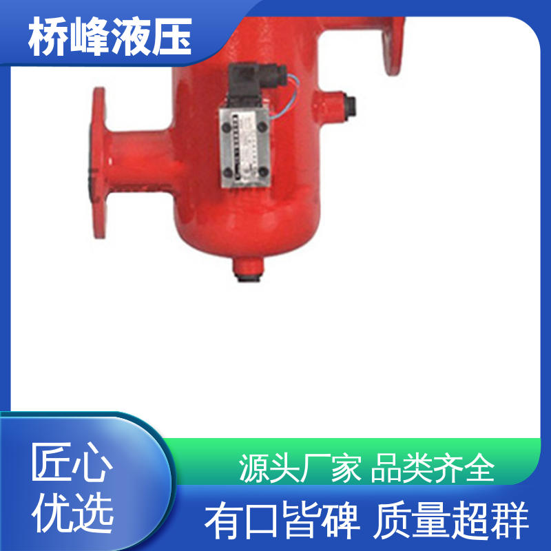 回复迅速 值得信赖 精良大流量双筒过滤器 桥峰液压