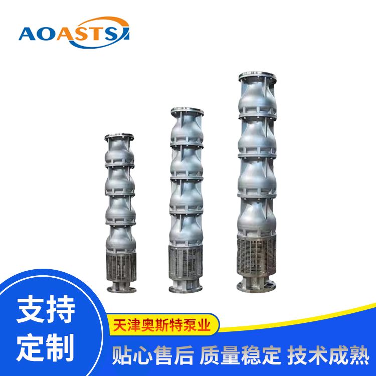 高压海水提升泵 大流量 高扬程 下吸式海水淡化泵 运转平稳噪声低