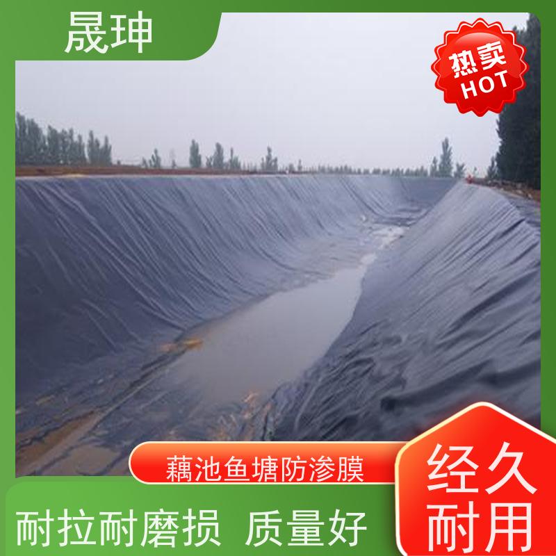 晟珅 人工湖防渗土工膜 耐拉耐磨损 质量好 货源充足