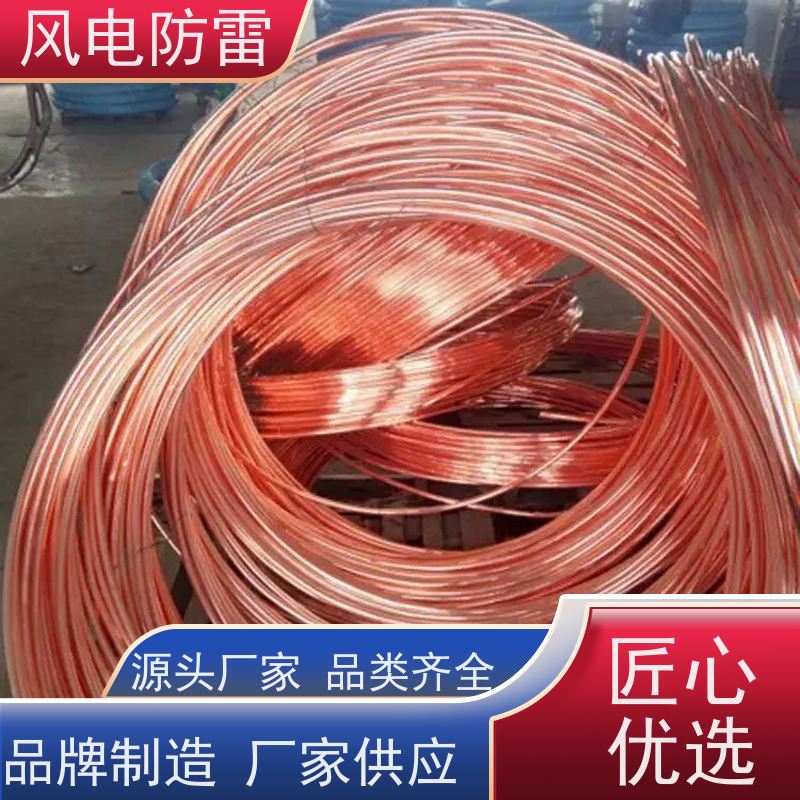 风电防雷 质量保障 可按需定做 特殊非 金 属材料 铜包钢接地圆线12mm