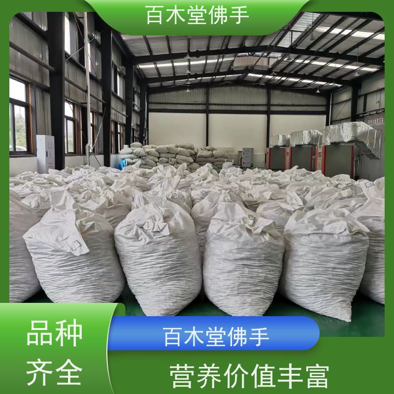 百木堂 万 州佛手 高成活率 较耐干旱 道路绿化行道苗