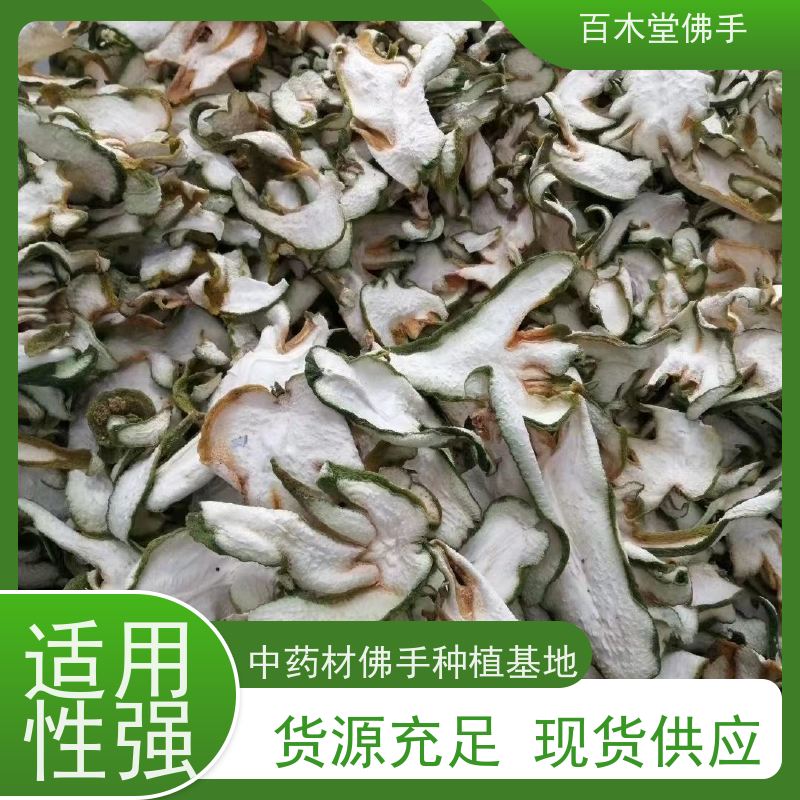 百木堂 广佛手 树形丰富 成活率高 种苗基地直供