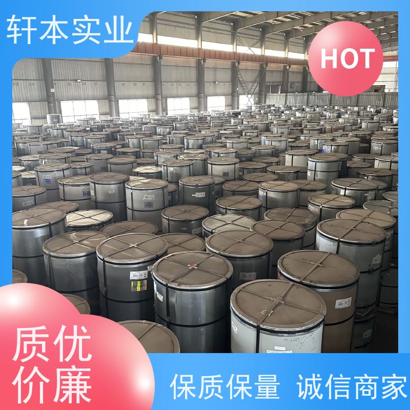 上海宝钢 塑粉彩钢卷 节能环保 材质优良 具有良好的抗风性能