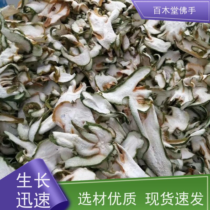 百木堂 广佛手 枝叶紧密 美丽多姿 种苗基地直供