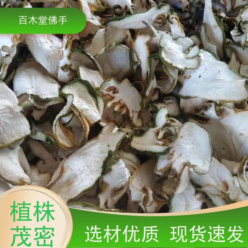 百木堂 良 种佛手 观赏植物 附加值高 种苗基地直供