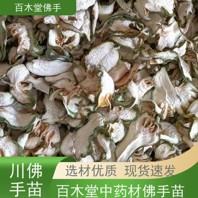 百木堂 石 柱佛手 造型优美 易成活 城市景观绿化树 