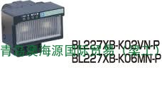 日本Anywire光电开关BL227XB-K02VL-P感应开关