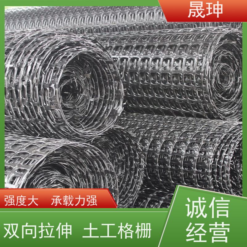 晟珅 双向塑料土工格栅 建设工程施工用 货源充足