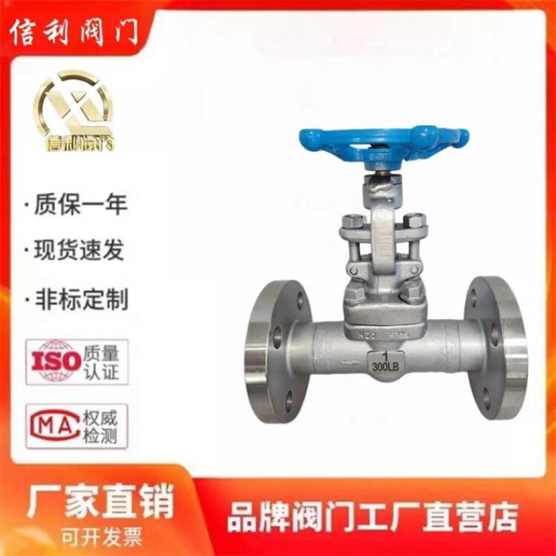美标API600 ASME锻钢截止阀导热阀 耐高温蒸汽阀法兰阀