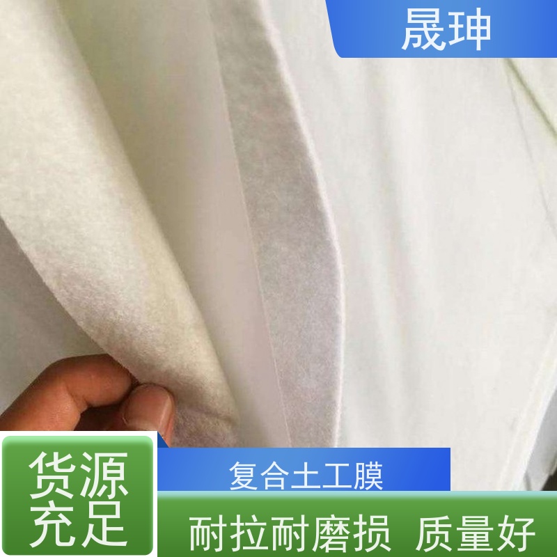 晟珅 复合土工膜 一布一膜 强力高 耐腐蚀 施工方便 支持定制