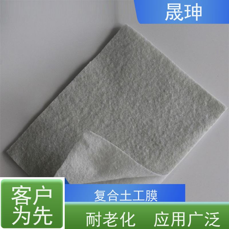 晟珅 复合土工膜 河道一布一膜 适应变形能力高 耐腐蚀 长期供应