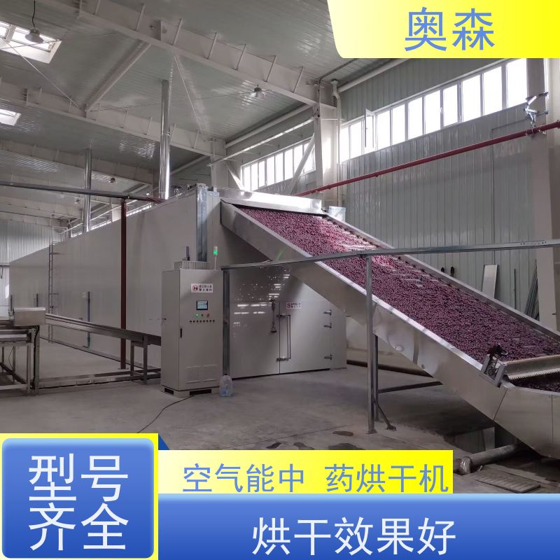 奥森 自动化干燥设备 高温热泵烘干房 兼容性强 经久耐用
