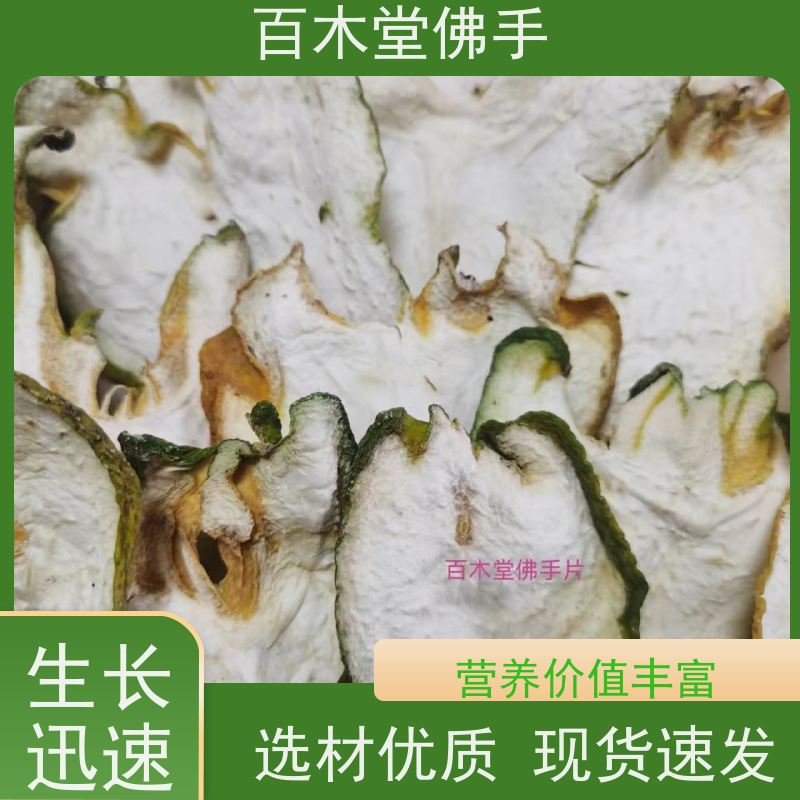 百木堂 沪 州佛手 枝叶紧密 美丽多姿 城市景观绿化树 