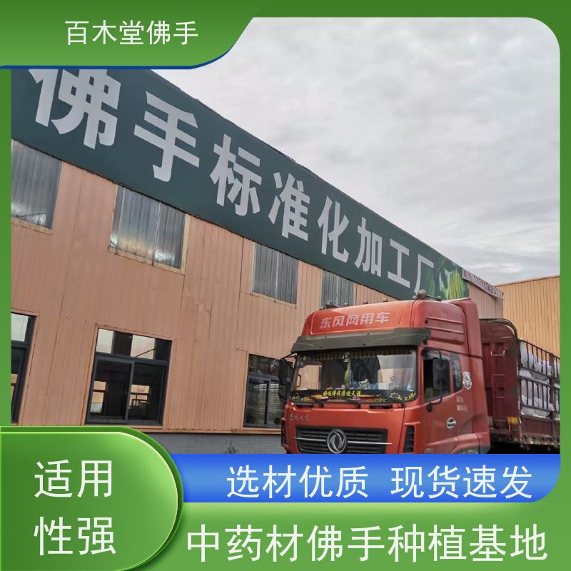 百木堂 自 贡佛手 高成活率 较耐干旱 种苗基地直供