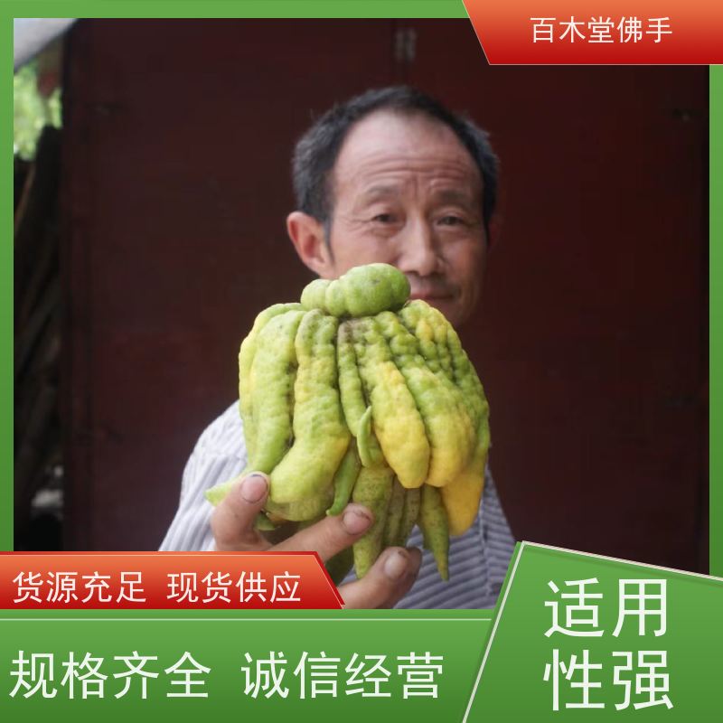 百木堂 中药材苗 园林景区栽植 用于室内外盆景