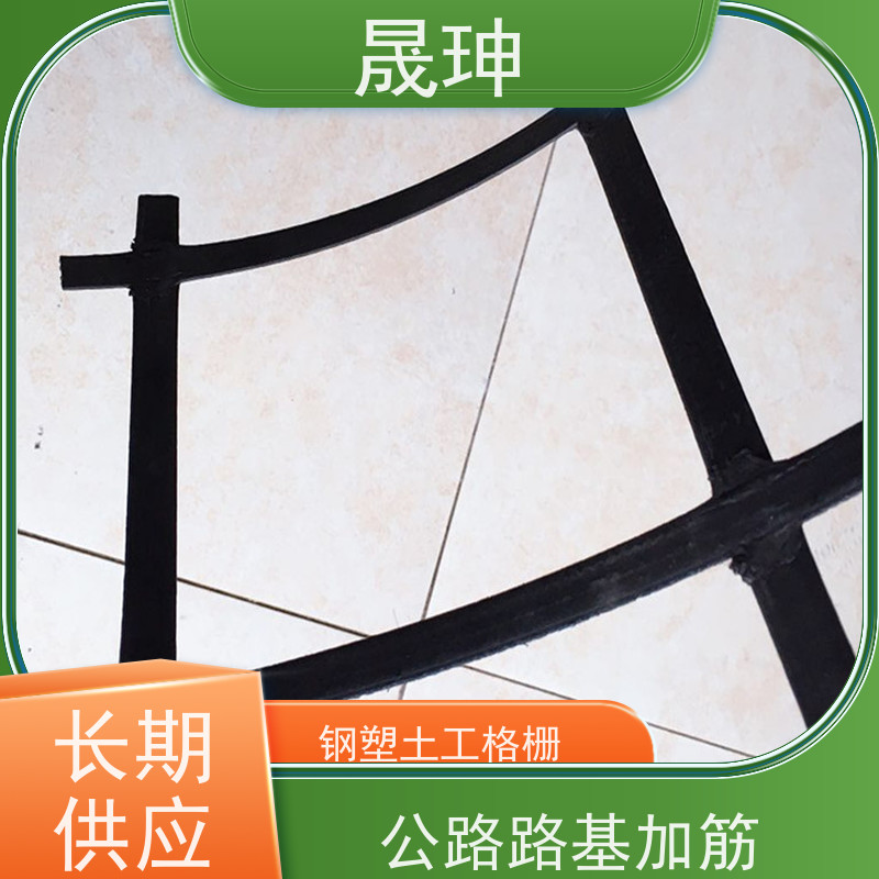晟珅 钢塑复合土工格栅 高抗拉 耐腐蚀 库存充足