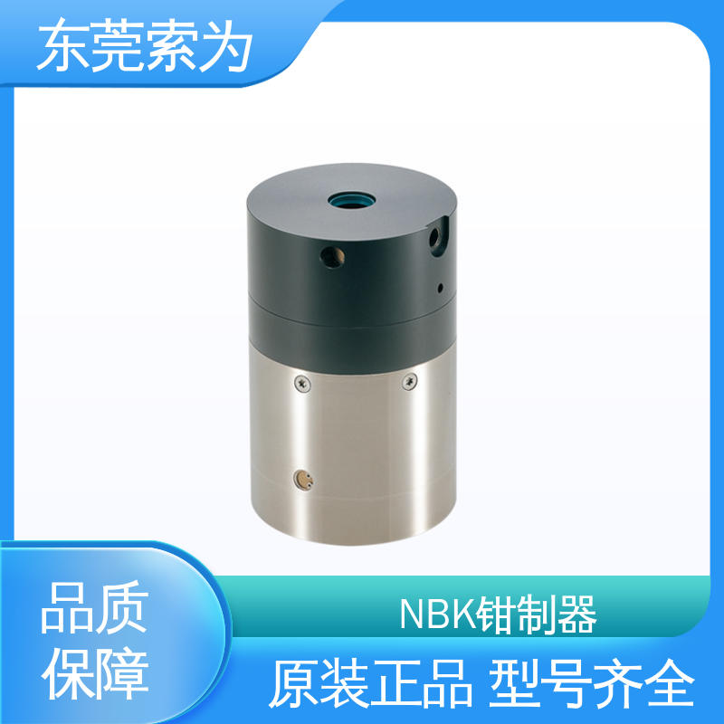 索为自动化 导轨钳制器 RBPS系列固定器 RBPS-2400-A 现货直供