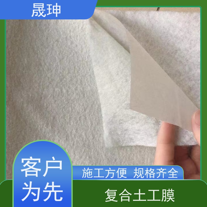 晟珅 复合土工膜 一布一膜 耐老化 应用广泛 货源充足