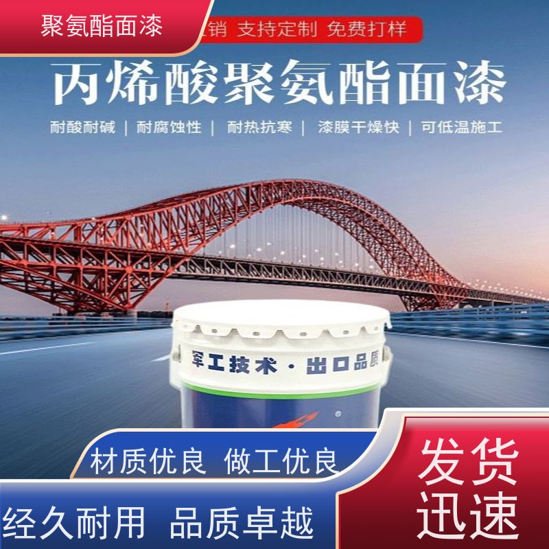 丙烯酸聚氨酯面漆 聚硅氧烷重防腐涂料底漆 钢构长效防护