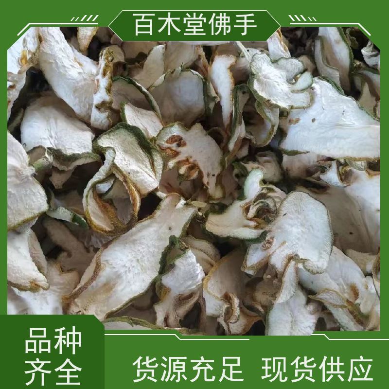 百木堂 巴 中佛手 植株茂密 生长迅速 种苗基地直供