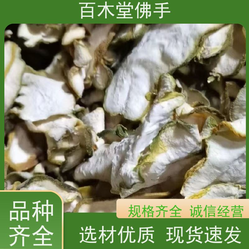 百木堂 万 州佛手 可作为盆景摆设 货源充足 园林景区栽植