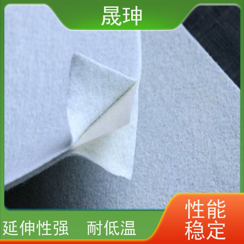 晟珅 复合土工膜 一布一膜 变形模量大 抗老化 全国供应