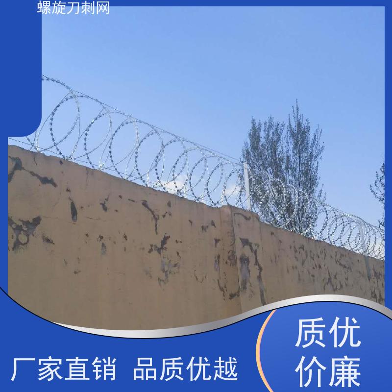 围墙防爬刺镀锌刀刺网高锌刺丝滚笼防腐性能好