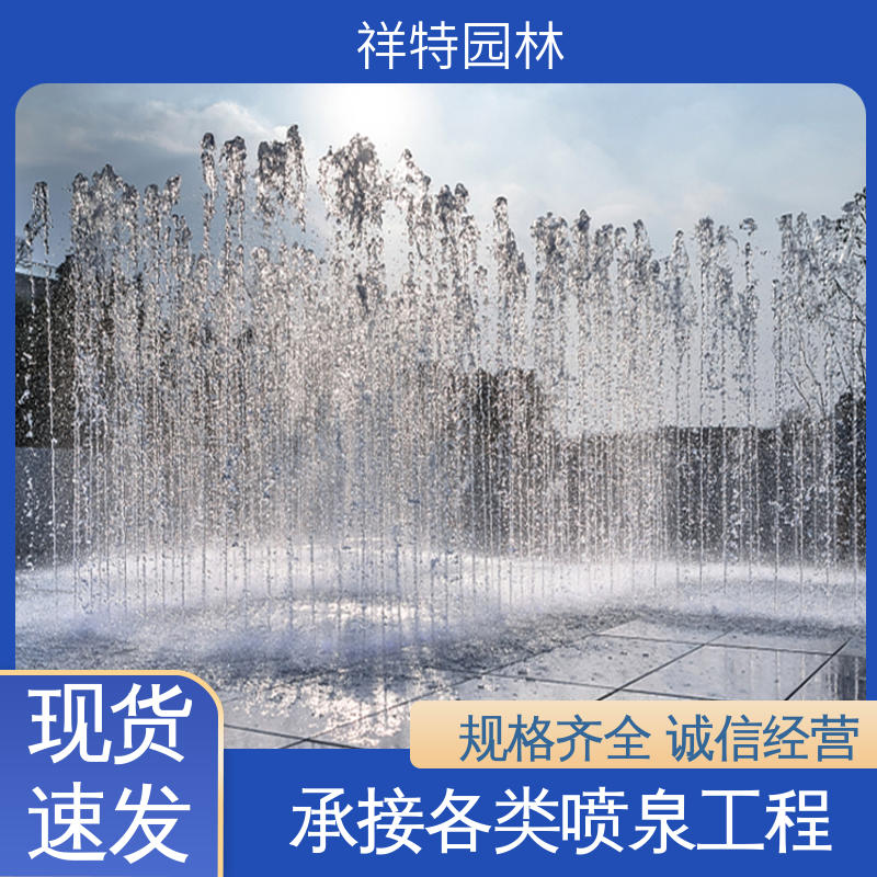 喷射高度可控 操作简单 定做音乐喷泉 公园水景设备 祥特园林