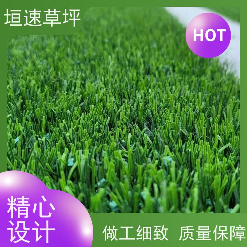 垣速草坪 五人制足球场 改造 屋顶人造草皮 使用范围广