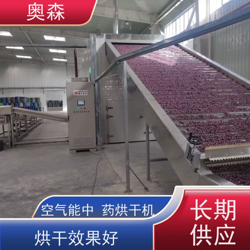 奥森 食品药品干燥设备 香菇烘干房 自动化 操作易上手 性价比高