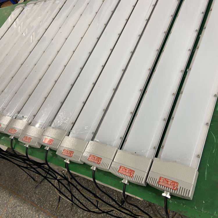 香料厂LED防爆灯30W 40W50W吸顶灯 防爆荧光灯