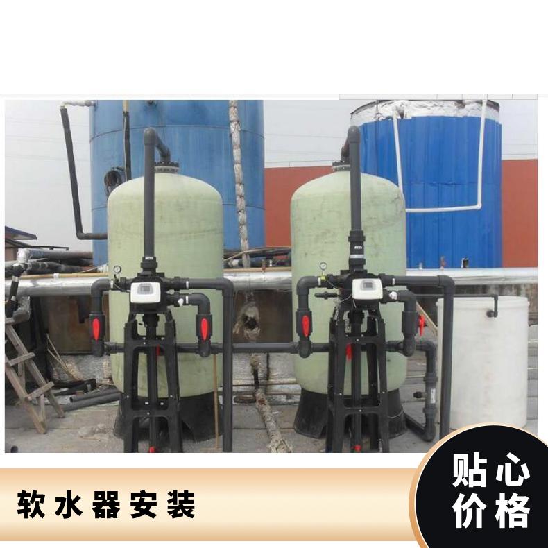 软水器安装图 励进环保 0.5~1000t/h 树脂罐盐箱 是 LJ-I-5